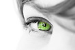 Photo en ligne au meilleur prix oeil regard de femme vert �cologie environnement
