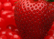 Photo: Strawberry Red 2 Strawberry Red 2