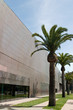 de young museum with row of palms de young museum with row of palms