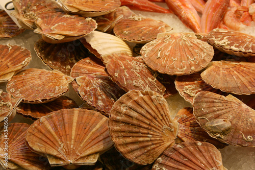 mussels in the market-place mussels in the market-place
