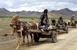 charrette sur la route de lhassa