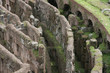 coliseum in ruins coliseum in ruins