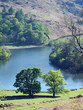 rydal water in spring sunlight