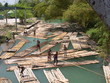 jamaican rafters