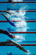 swim dive start 01