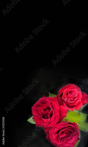Photo: greeting card with roses greeting card with roses
