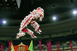 flying lion