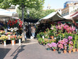 marché aux fleurs 6