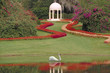 a moment in cypress gardens