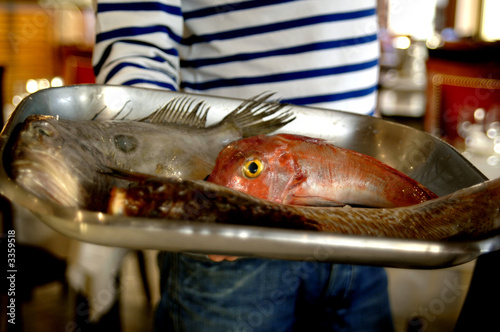 la bouillabaisse