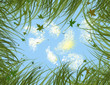 breezy summer sky