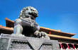 lion statue