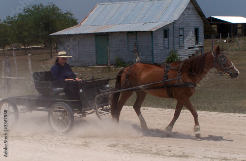 Photo: mennonites of belize. mennonites of belize.