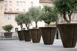 place de la mairie - marseille