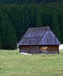 Old house on a green field