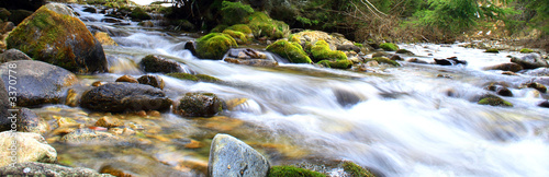 Beautiful brook