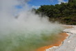 champagne pool