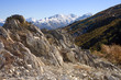 alpine landscape