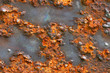 Photo: rusted surface rusted surface