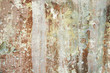 wall