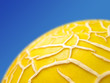 galia melon against a blue sky!