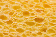 sponge