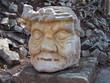 head of maya. head of maya.