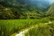 hapao rice terraces, philippines