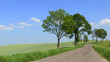 way