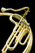 tuba