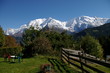 jardin face au mont blanc