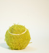 old tennis player