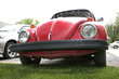 old red beetle