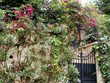 garden gate