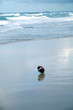 football on the beach