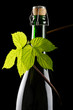 hops and beer