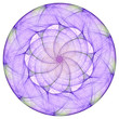 purple mandala