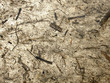 handmade paper_straws