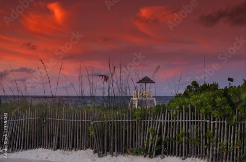 paradie island