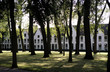 bruges beguinage-1