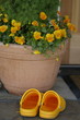 front door flowers