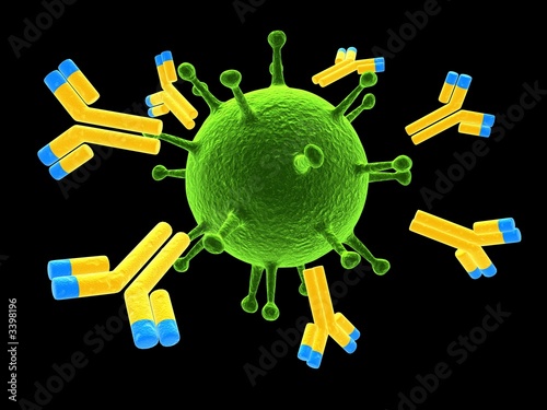 antikörper bekämpfen einen virus