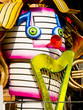 carnevale