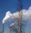 to question about ecologies