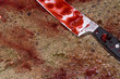 Blood soaked knife