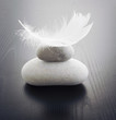 Photo en ligne au meilleur prix plume