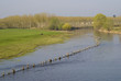 berges de la sarthe, maine et loire, france