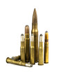 rifle ammunition