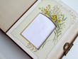 page d'album à fleurs jaunes