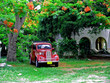 voiture cubaine a l'ombre